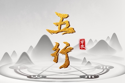 男女命盘,排盘紫薇,命命盘查询,元亨八字排命盘,八字排命盘,算命命盘