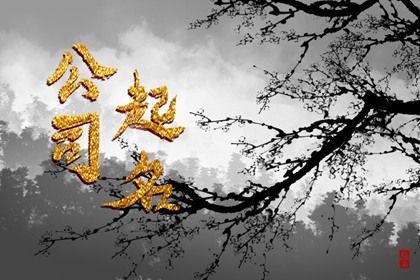 示例命局怎么用